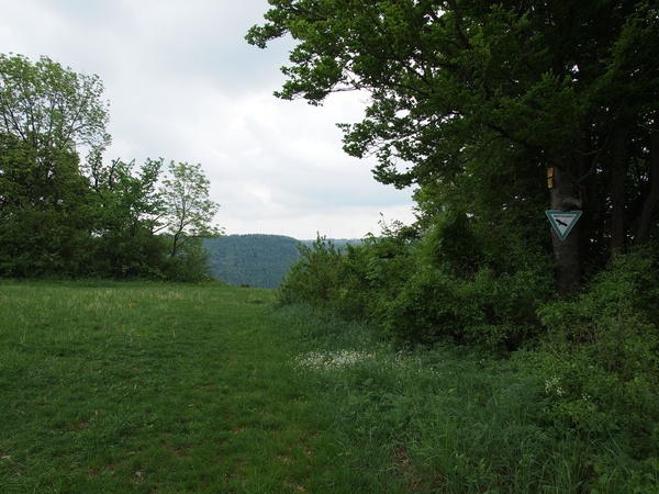 Bild Nr. 4